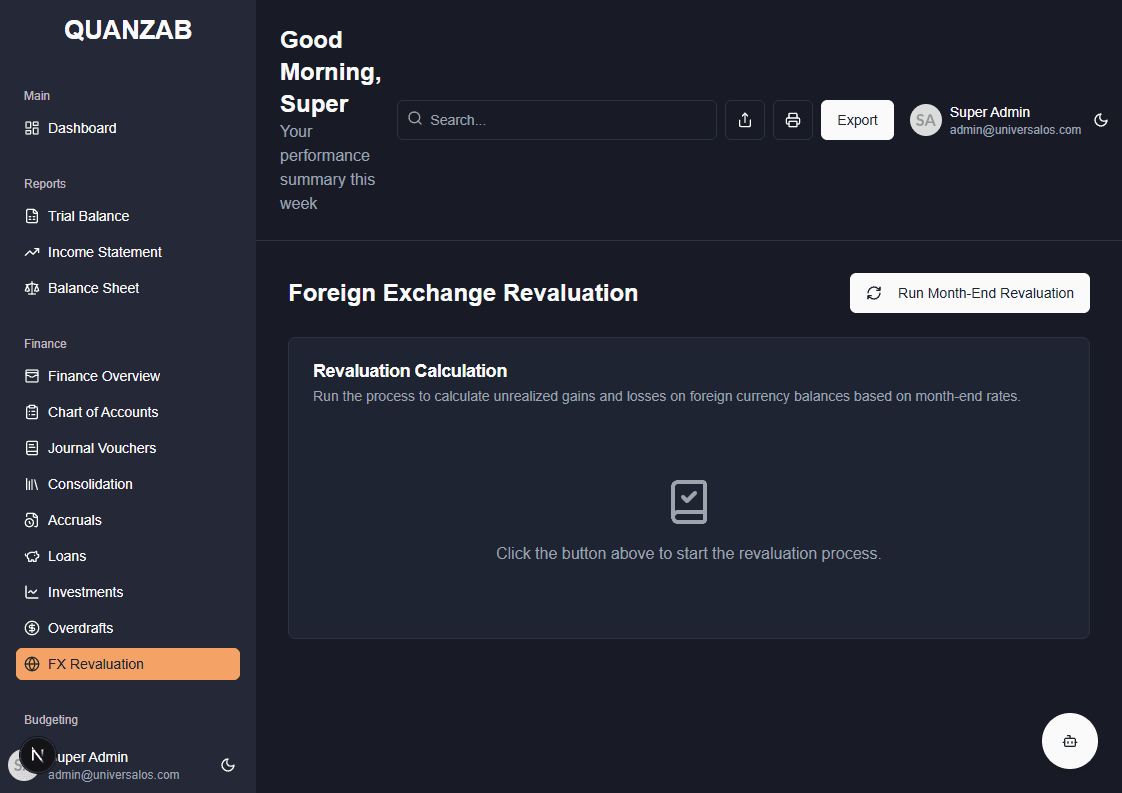 Forex Revaluation Screenshot