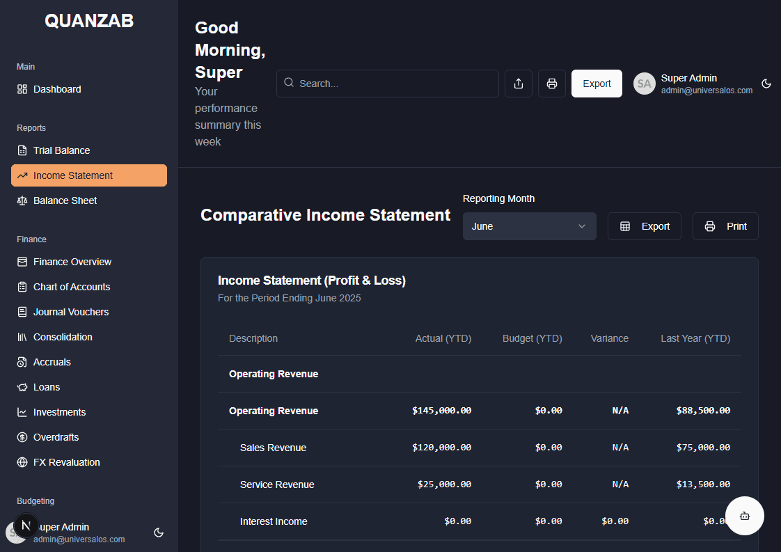 Income Statement Screenshot